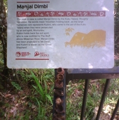 Lasjia whelanii at Syndicate, QLD - 2 May 2014 by JasonPStewart