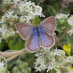 Unverified at suppressed - suppressed