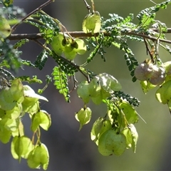 Unverified at suppressed - suppressed