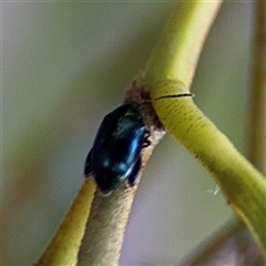 Unverified at suppressed - suppressed