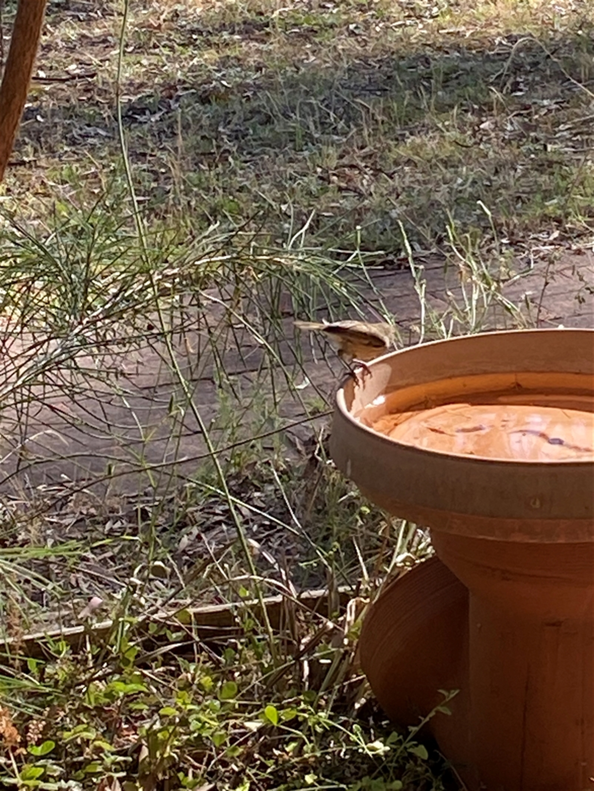 Unverified at suppressed - suppressed