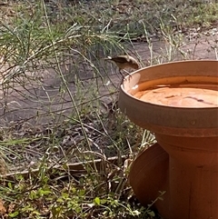 Unverified at suppressed - suppressed