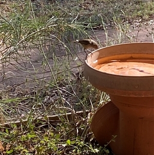 Unverified at suppressed - suppressed