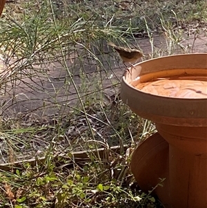 Unverified at suppressed - suppressed