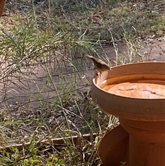 Unverified at suppressed - suppressed