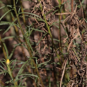 Unverified at suppressed - suppressed