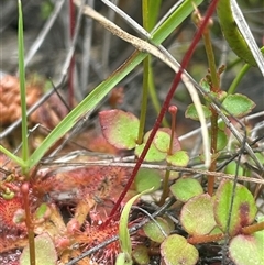 Unverified at suppressed - suppressed