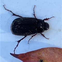 Unverified at suppressed - suppressed