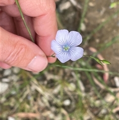 Unverified at suppressed - suppressed