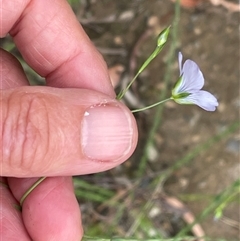 Unverified at suppressed - suppressed