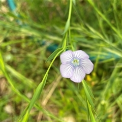 Unverified at suppressed - suppressed