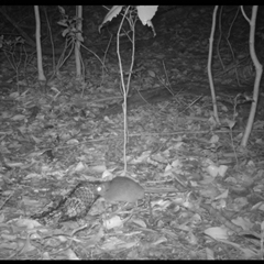 Unverified at suppressed - suppressed