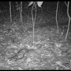 Unverified at suppressed - suppressed