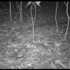 Unverified at suppressed - suppressed