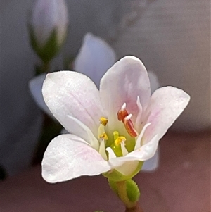 Unverified at suppressed - suppressed