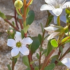 Unverified at suppressed - suppressed