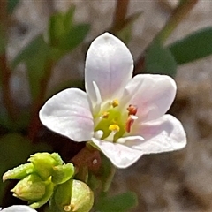 Unverified at suppressed - suppressed