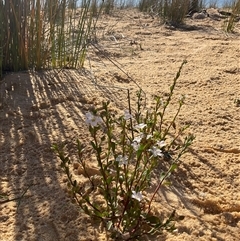 Unverified at suppressed - suppressed