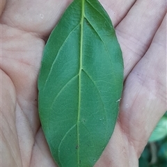 Unverified at suppressed - suppressed