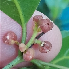 Unverified at suppressed - suppressed