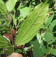 Unverified at suppressed - suppressed