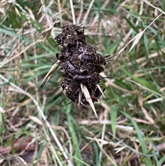 Unverified at suppressed - suppressed