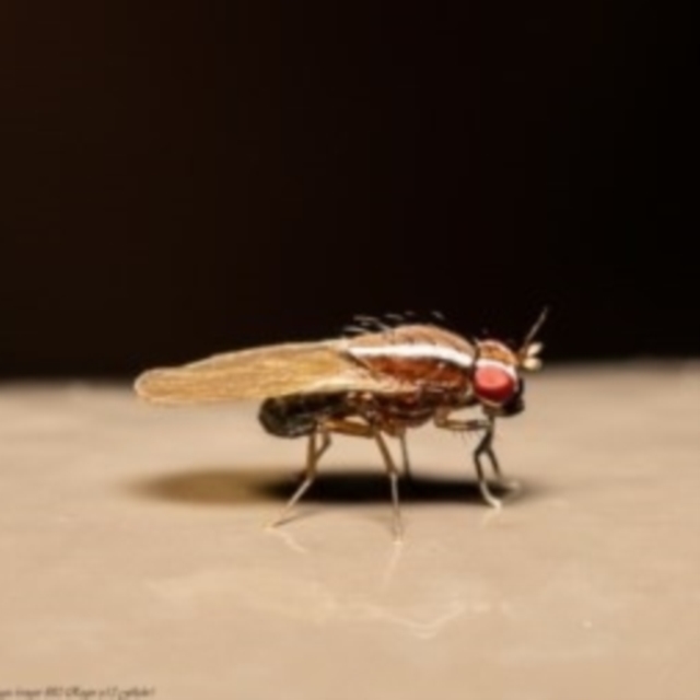 View sample image gallery
