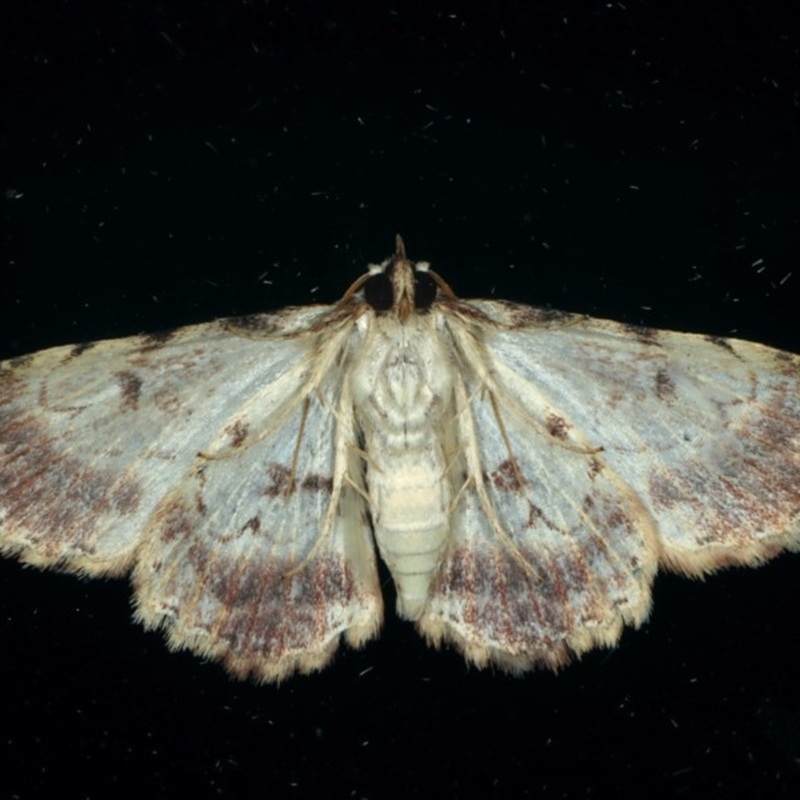 Underside