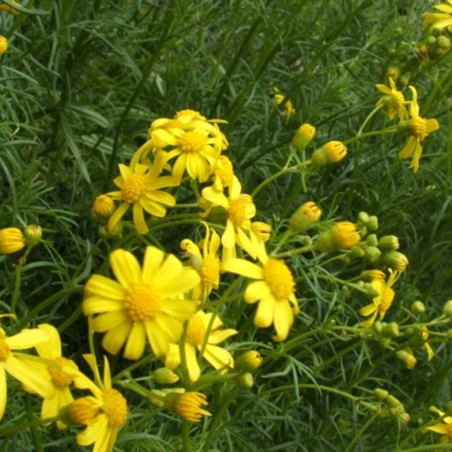 View sample image gallery