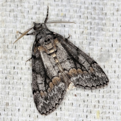 Male