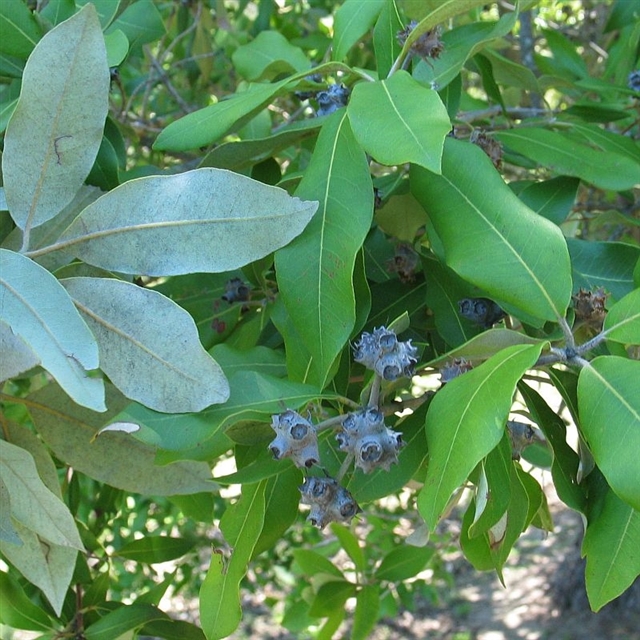 View sample image gallery