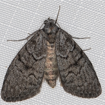 Female