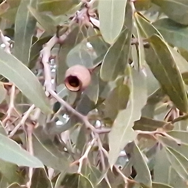 View sample image gallery
