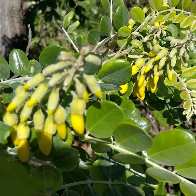 View sample image gallery