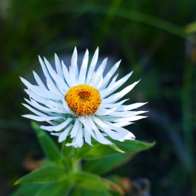 View sample image gallery