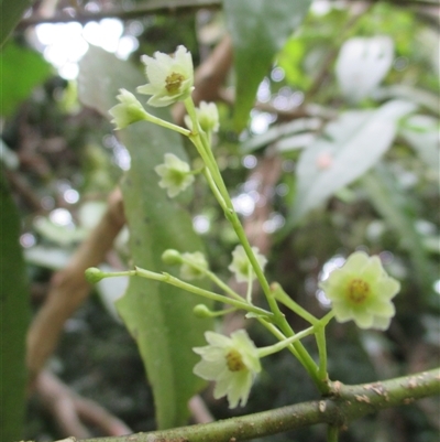 Flowering