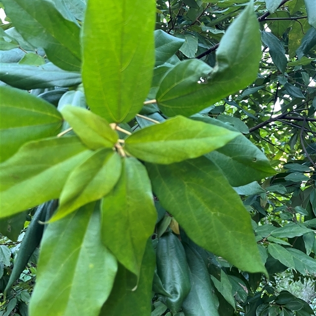 View sample image gallery