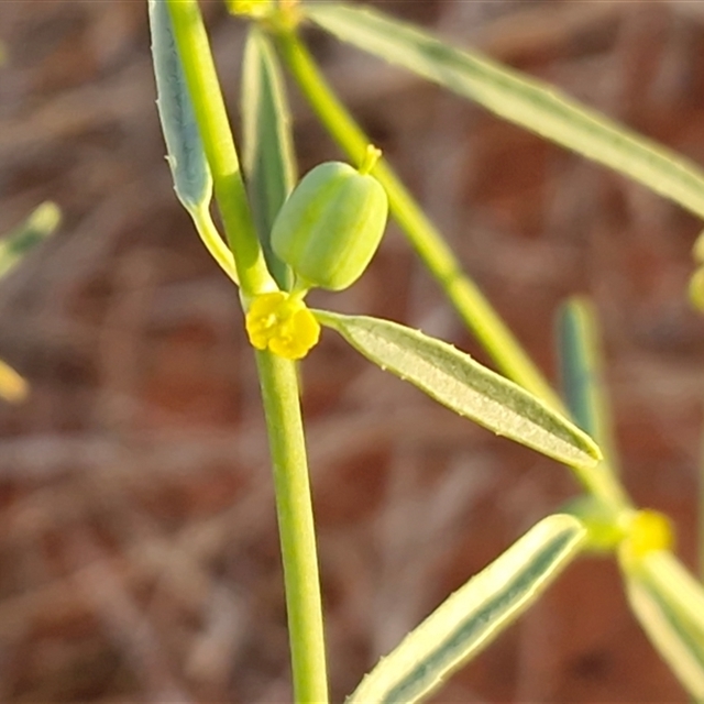 View sample image gallery