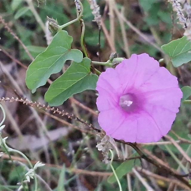 View sample image gallery