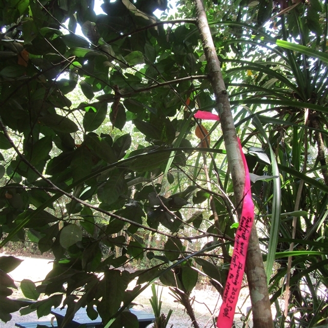View sample image gallery