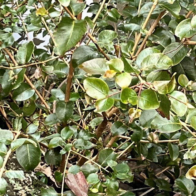 View sample image gallery