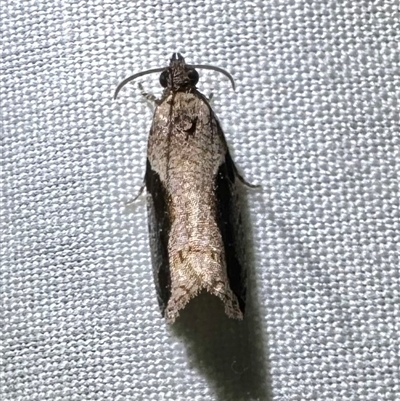 Male