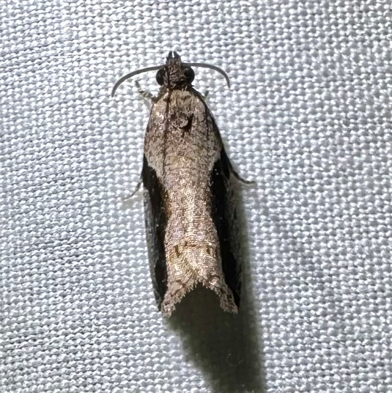 Male