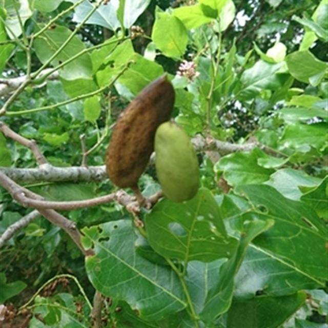 View sample image gallery