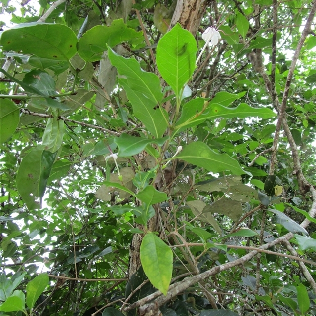 View sample image gallery