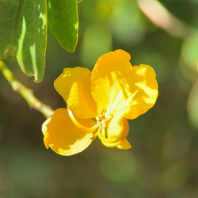View sample image gallery