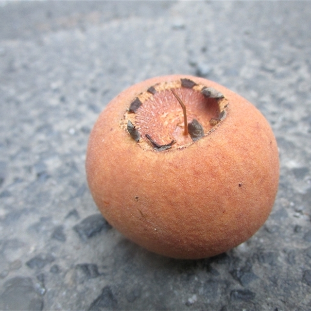 View sample image gallery