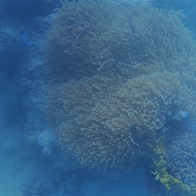 View sample image gallery