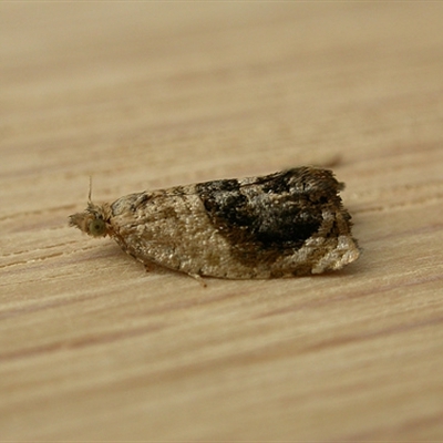 Female