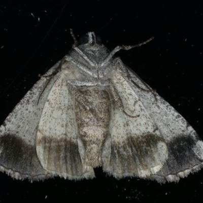 Underside